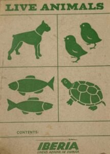 🖼️ - UNIFORMIDAD Y OPERACIONES - Cargo. img 6479